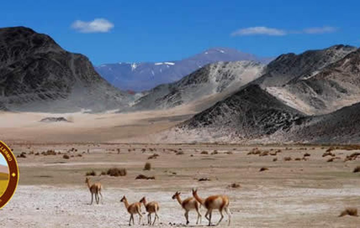Parque Nacional San Guillermo, un destino que probablemente no conozcas