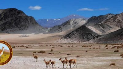 Parque Nacional San Guillermo, un destino que probablemente no conozcas