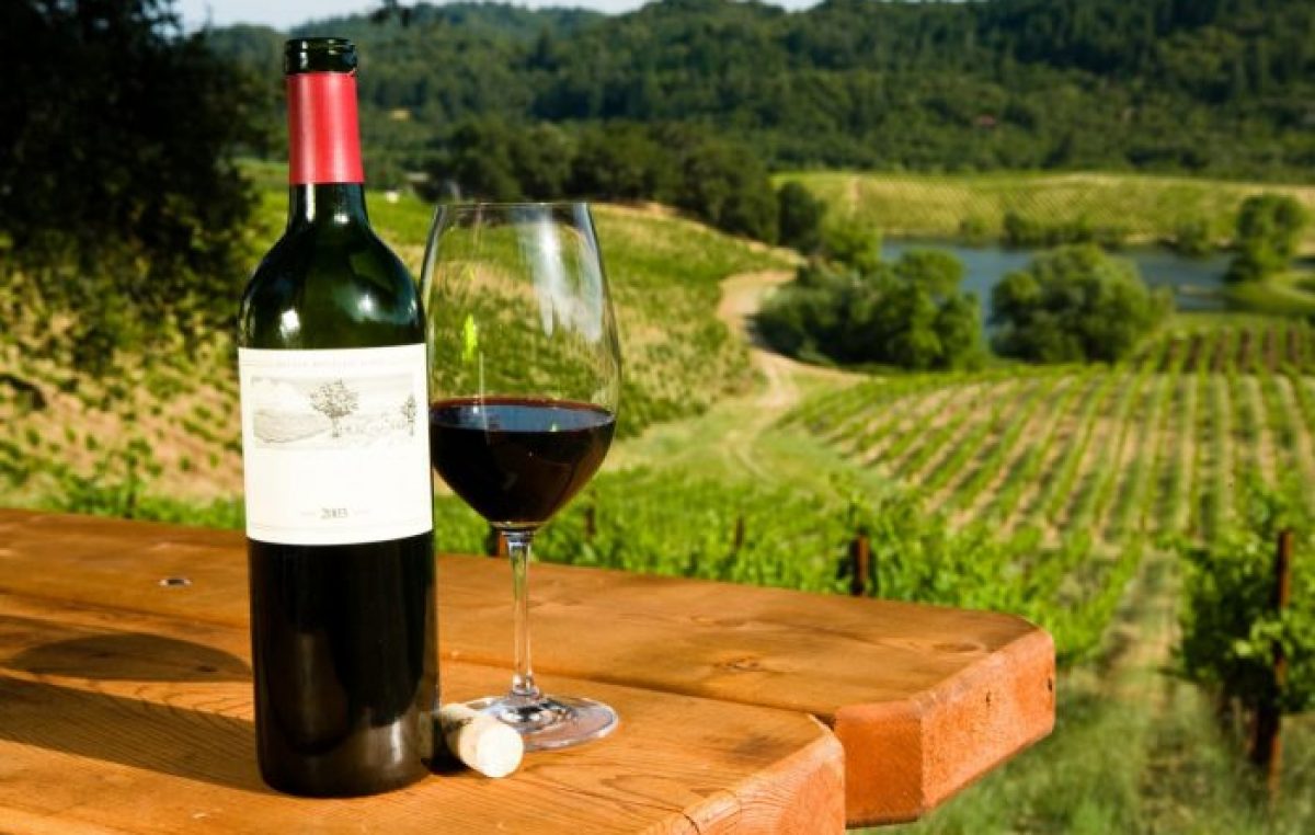 Ruta del vino en la Argentina : una opción para todo el año