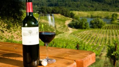Ruta del vino en la Argentina : una opción para todo el año
