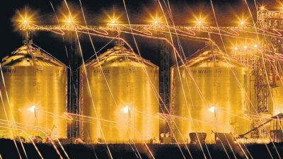 Especulación cambiaria con la cosecha