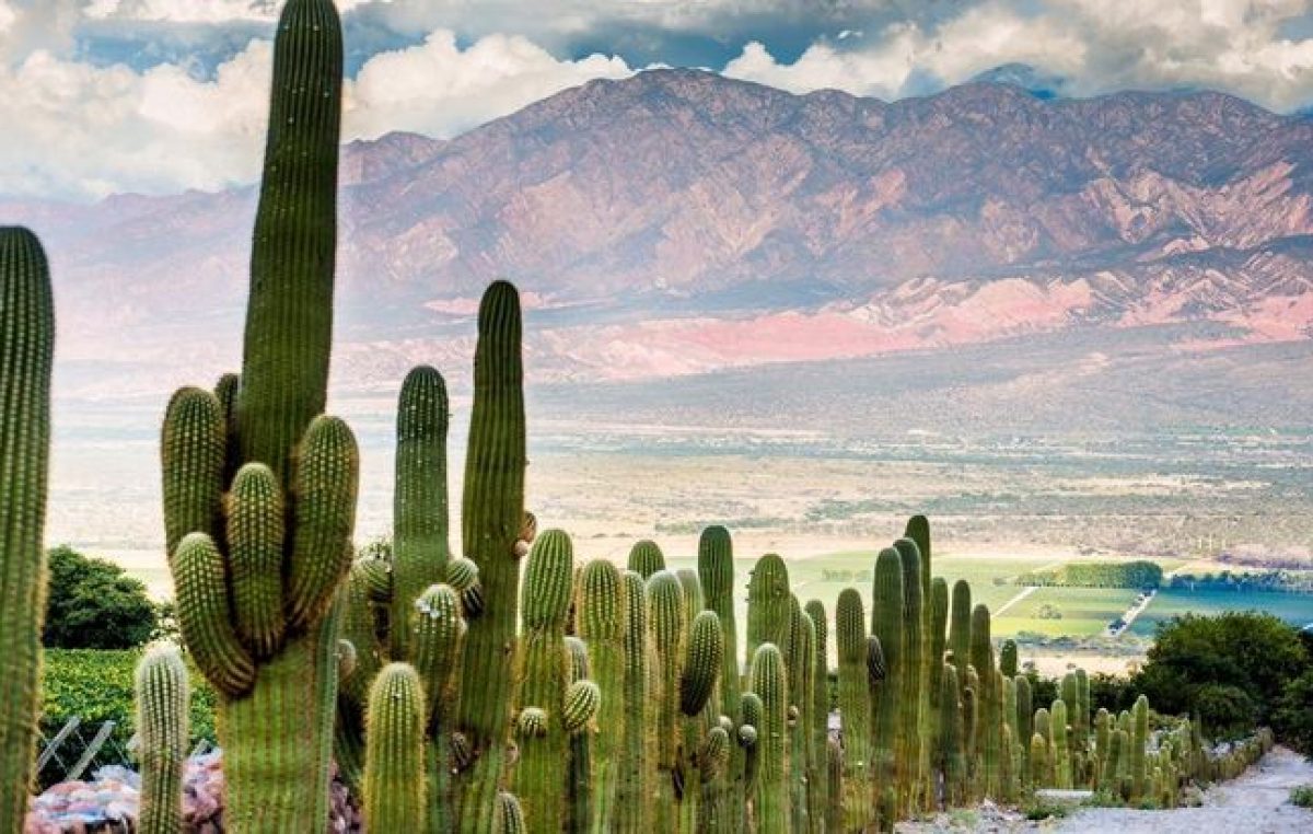 Eligen a Salta entre los 10 destinos turísticos más fascinantes para el 2019