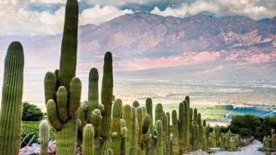 Eligen a Salta entre los 10 destinos turísticos más fascinantes para el 2019