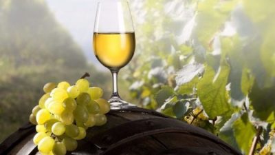Del 8 al 15 de octubre se podrá disfrutar de la Semana del Torrontés de Altura 2018