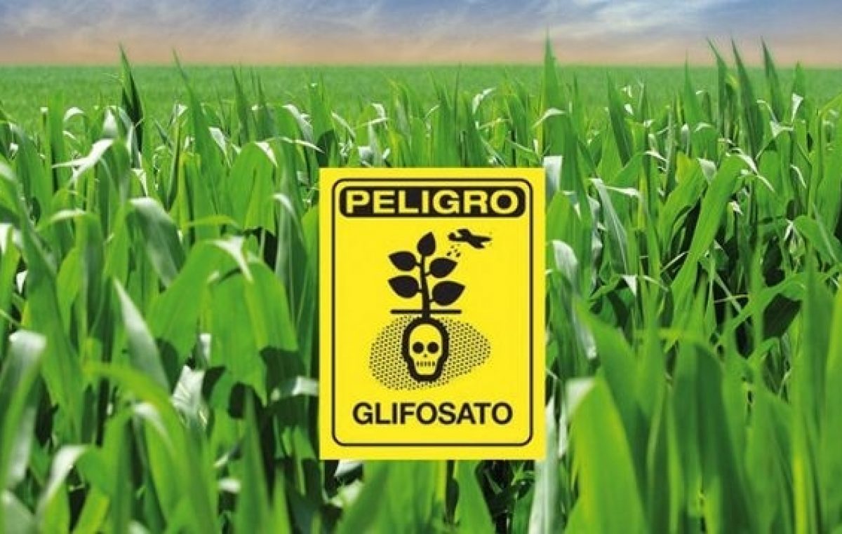 Misiones prohibió el uso del glifosato en ejidos urbanos y algunas zonas rurales