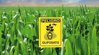 Misiones prohibió el uso del glifosato en ejidos urbanos y algunas zonas rurales