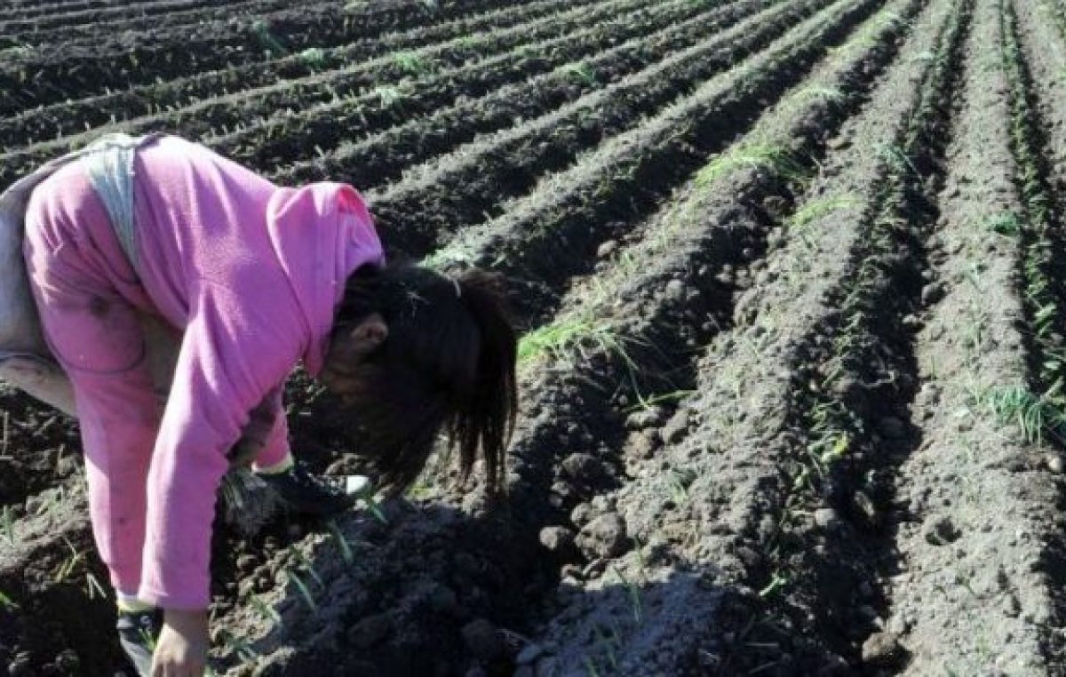 La ley de tu lado: cuáles son las normas que prohíben el trabajo infantil y por qué
