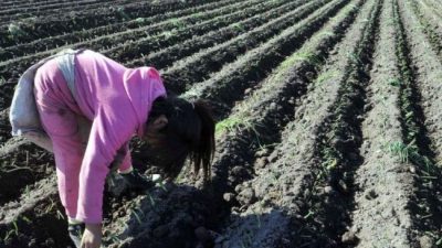 La ley de tu lado: cuáles son las normas que prohíben el trabajo infantil y por qué
