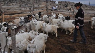 María, la criancera de la Línea Sur que nunca baja los brazos