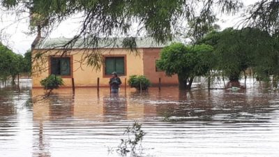 Greenpeace: Las zonas inundadas en Salta fueron las más desmontadas