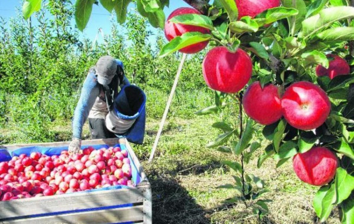 “Las pymes agropecuarias no aguantan un impuesto más”