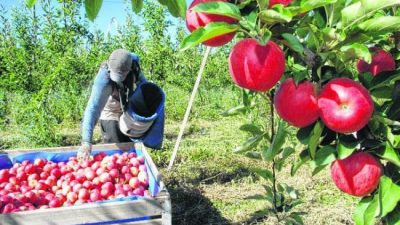 “Las pymes agropecuarias no aguantan un impuesto más”