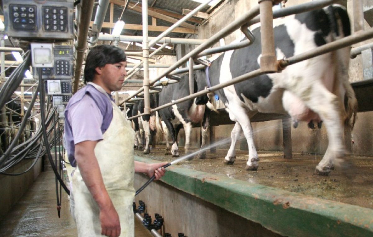 Desde Coninagro advierten que en Argentina cierra un tambo por día