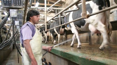 Desde Coninagro advierten que en Argentina cierra un tambo por día
