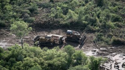 Desmontes en Salta: multan al empresario Braun Peña por destrucción de bosques nativos