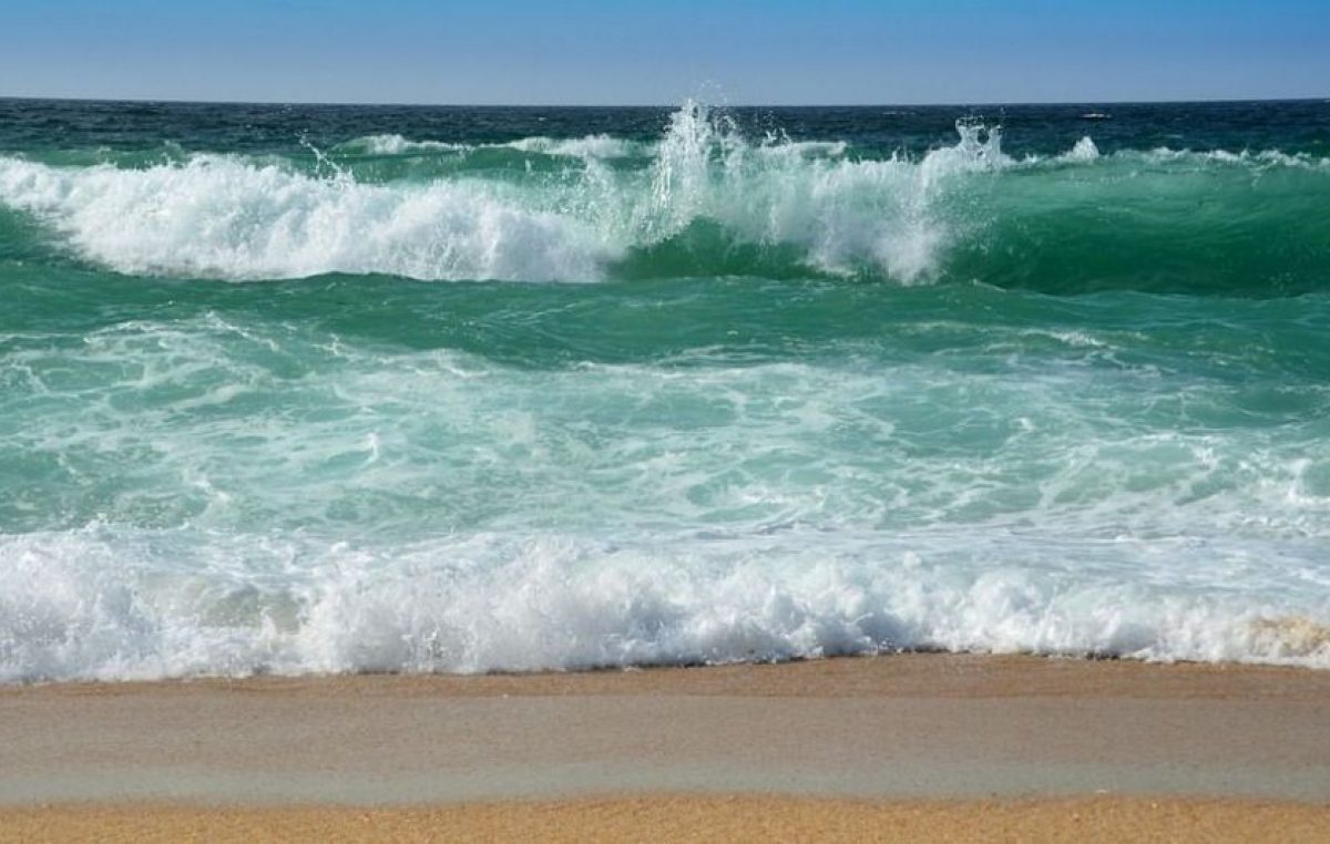 Disfrutar a pleno una temporada en San Clemente del Tuyú