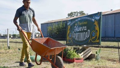 Doce mil jóvenes santafesinos en busca de una nueva oportunidad