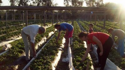 Para Macri y el G20 los campesinos no existimos