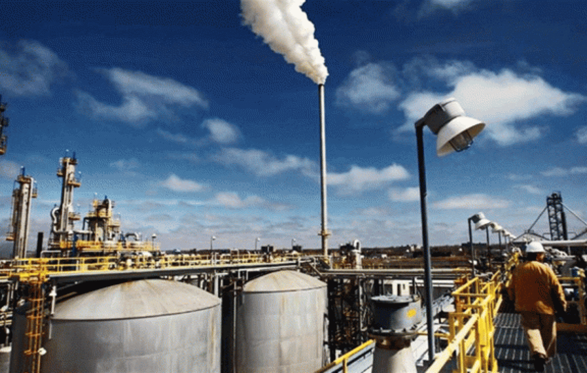 Industria del biodiésel: se caen las exportaciones y en Santa Fe se trabaja al 50%