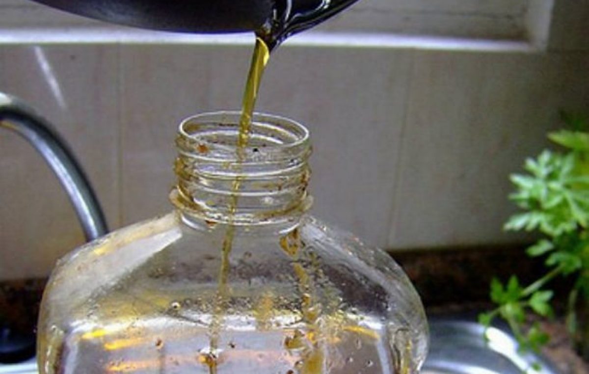 Venado recolectó en 6 años más de 170 mil litros de aceite usado