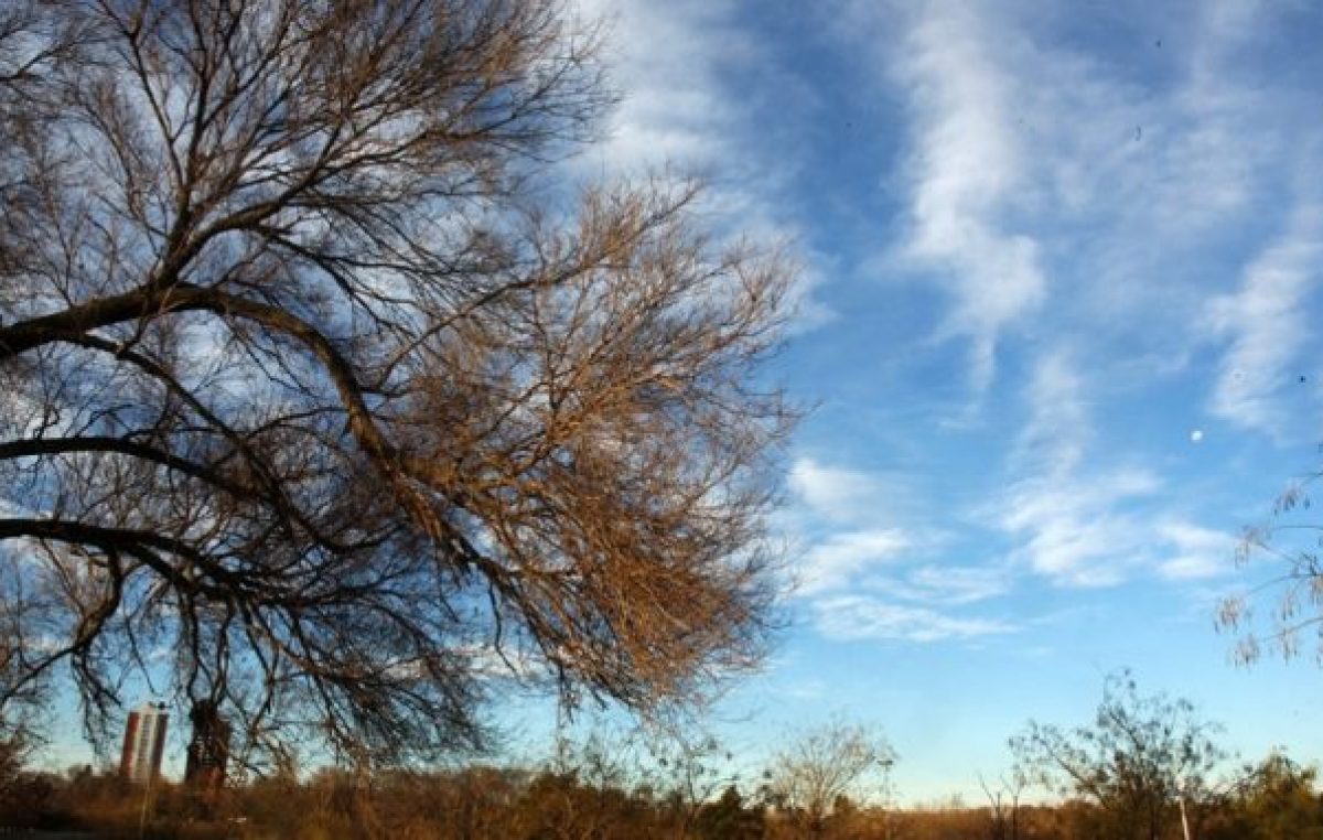 Río Cuarto: “La ley de bosques se disfrazó dentro de la ley agroforestal”