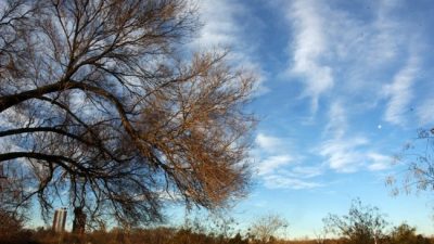 Río Cuarto: “La ley de bosques se disfrazó dentro de la ley agroforestal”