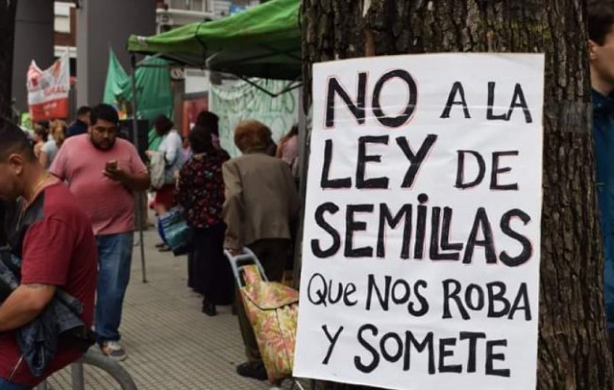 Pequeños productores, en alerta por el proyecto de Ley de Semillas de Cambiemos