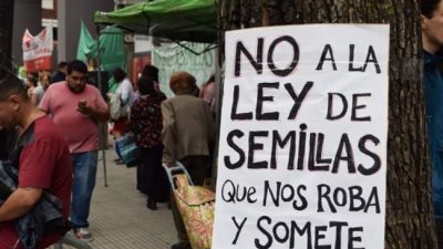 Pequeños productores, en alerta por el proyecto de Ley de Semillas de Cambiemos