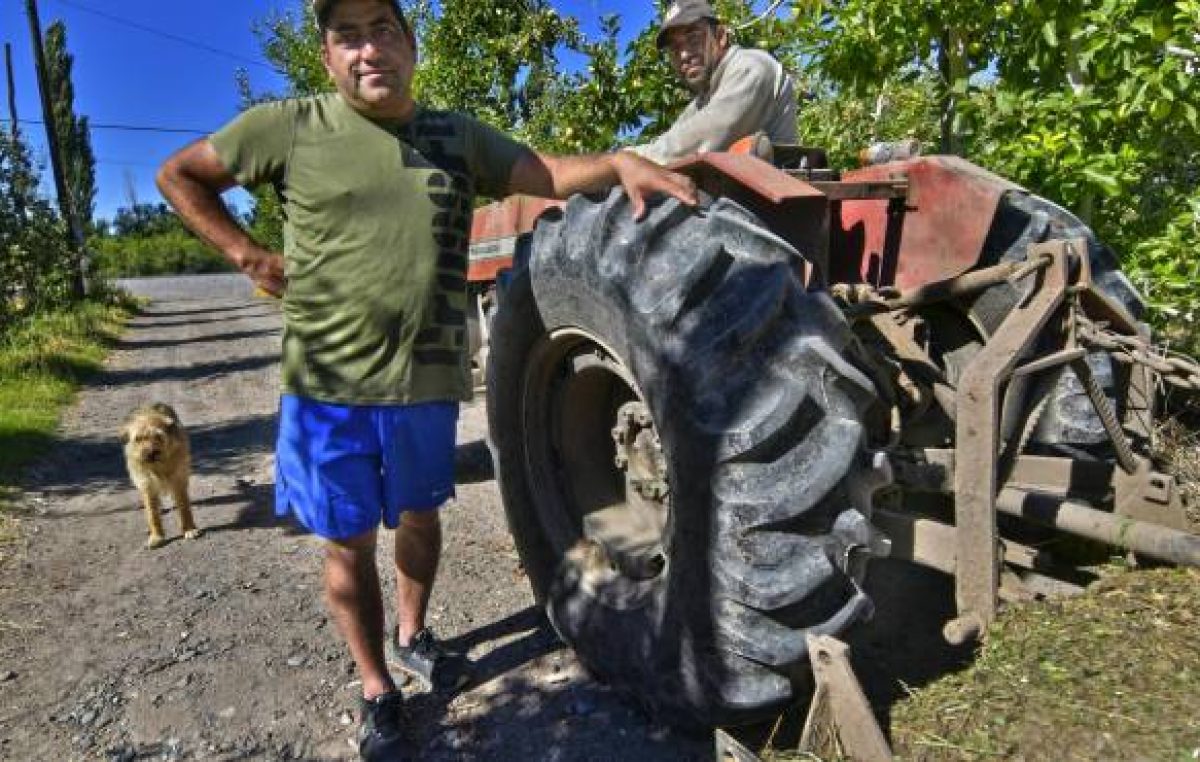 Roca: De cara a la Fiesta de la Manzana, los chacareros cuentan su realidad
