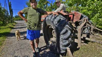 Roca: De cara a la Fiesta de la Manzana, los chacareros cuentan su realidad