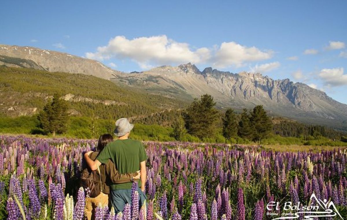 El Bolsón, cuna de la cerveza artesanal en Argentina