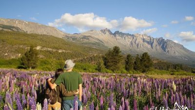 El Bolsón, cuna de la cerveza artesanal en Argentina