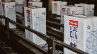 Reconocida empresa láctea pidió plan preventivo de crisis: Emplea a 600 personas