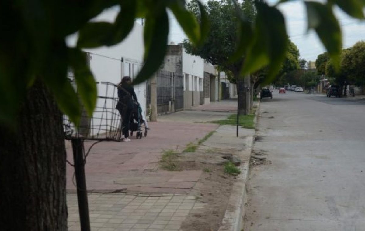 Detectan un faltante de 12 mil árboles en 15 barrios de Córdoba