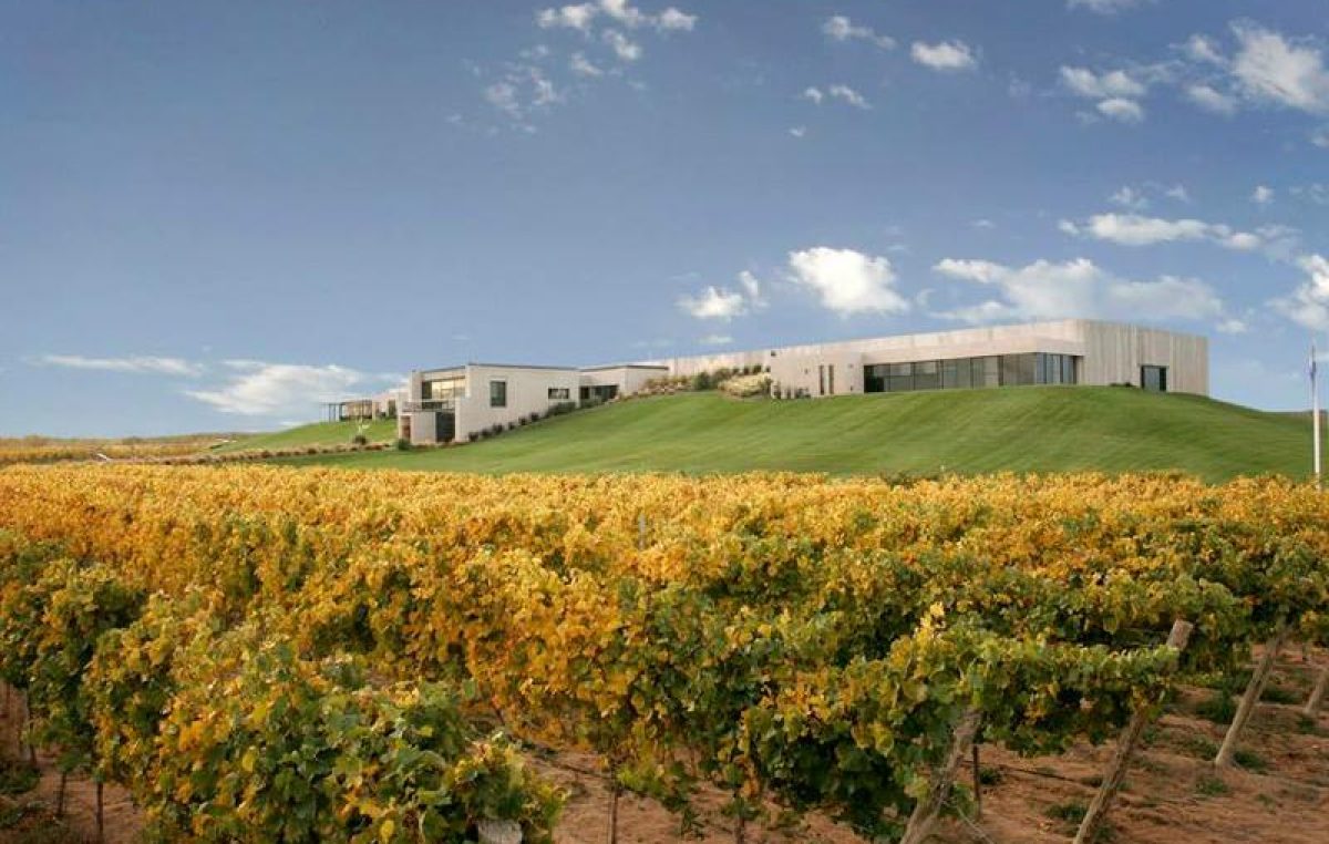Cinco bodegas a pocos kilómetros de Neuquén para vivir la vendimia
