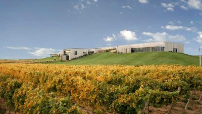 Cinco bodegas a pocos kilómetros de Neuquén para vivir la vendimia