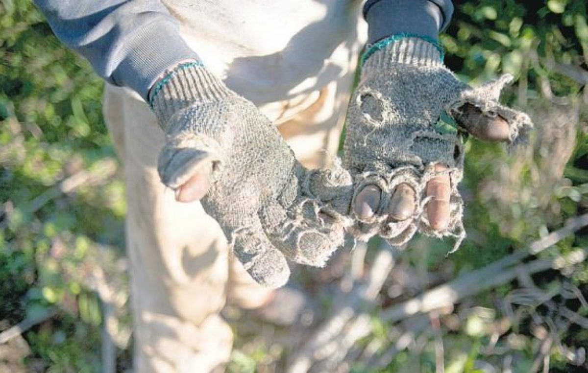 Explotación laboral en el sector rural