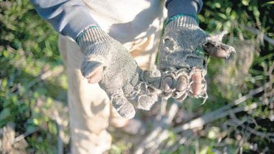 Explotación laboral en el sector rural