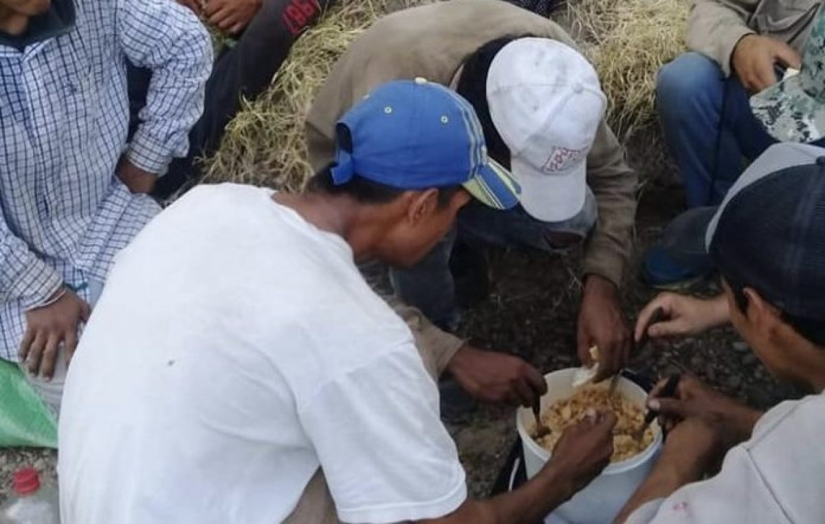La precariedad laboral rural llega al 49% en la Patagonia