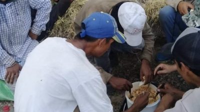 La precariedad laboral rural llega al 49% en la Patagonia