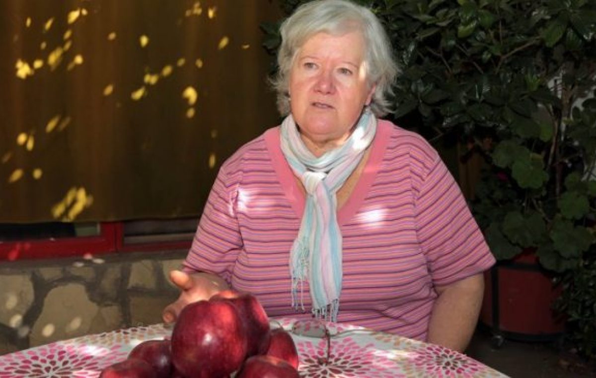 No va más: otra chacra neuquina ya no produce más manzanas