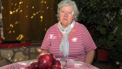 No va más: otra chacra neuquina ya no produce más manzanas