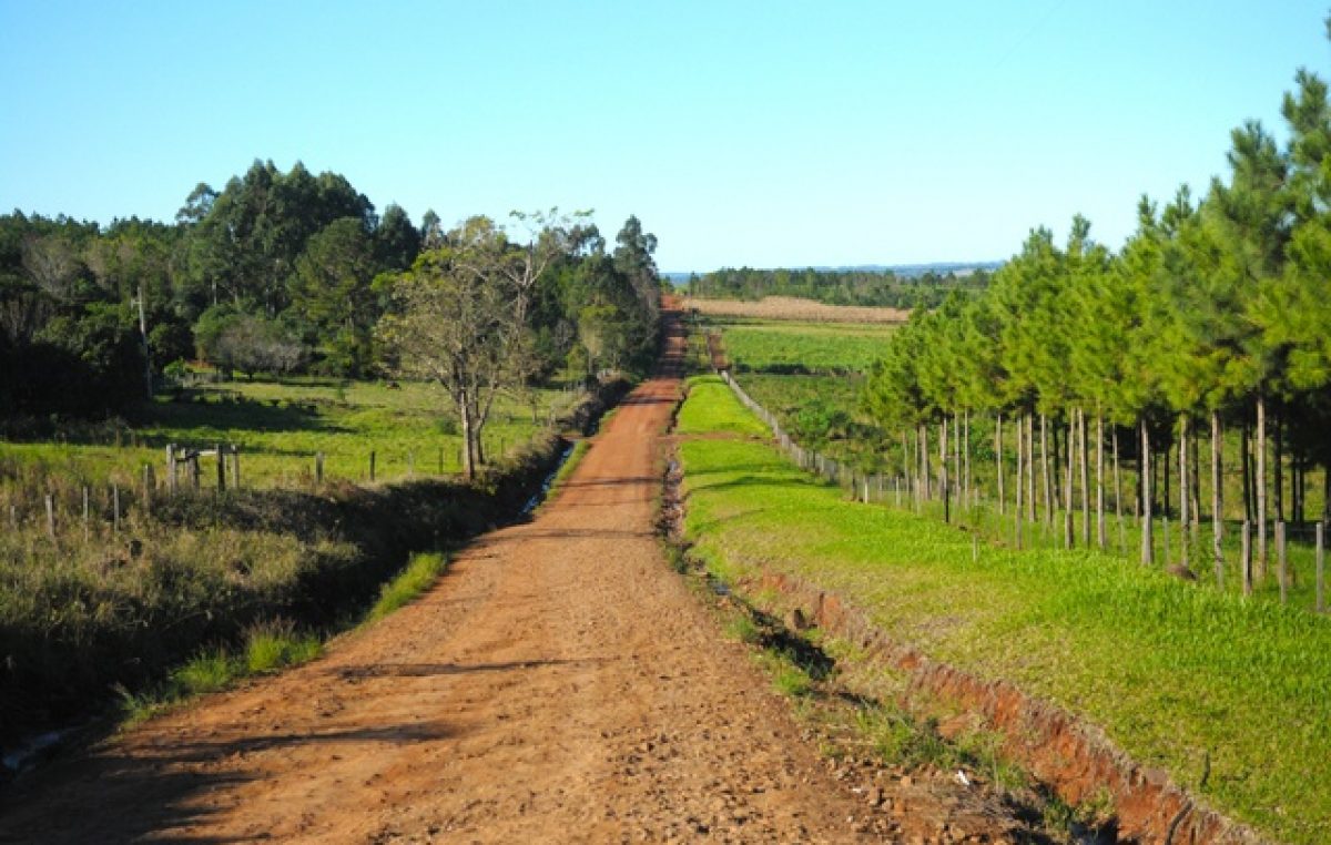 La UNLP cede más de 6 mil hectáreas a comunidades guaraníes en Misiones: «Es un avance histórico»