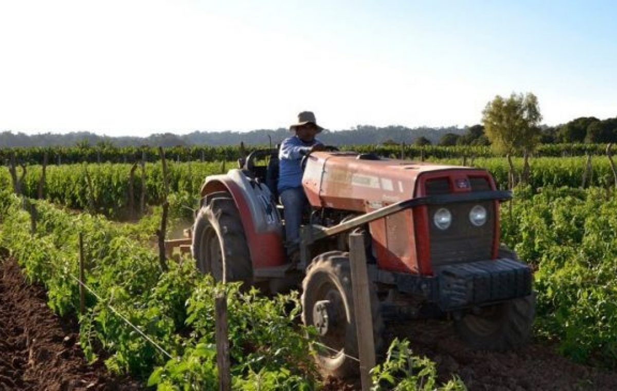 Cooperativas locales: “El campo no produce inflación”