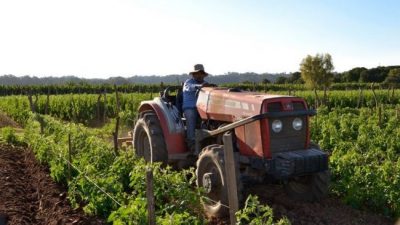 Cooperativas locales: “El campo no produce inflación”