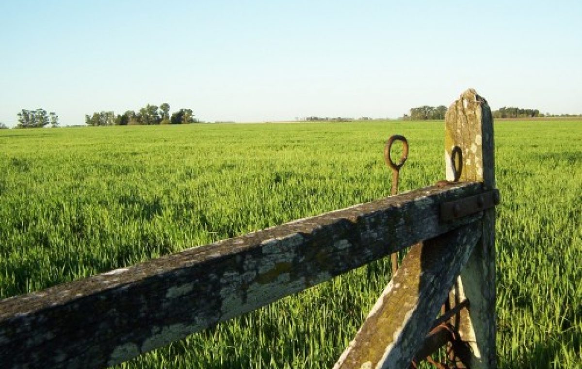 Noticias del “campo”, que no es “de todos”