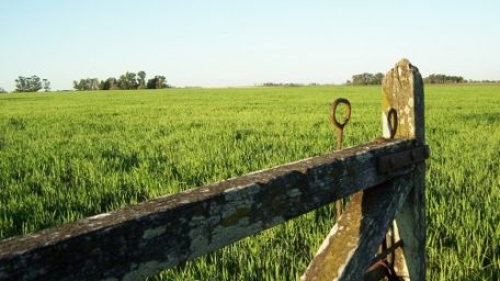 Noticias del “campo”, que no es “de todos”