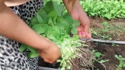 El ajuste en el INTA afecta a los 516 agricultores familiares de Santa Cruz