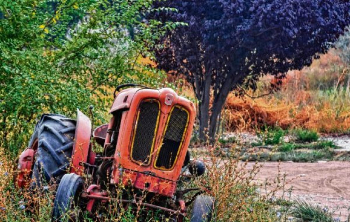 Réquiem por la fruticultura