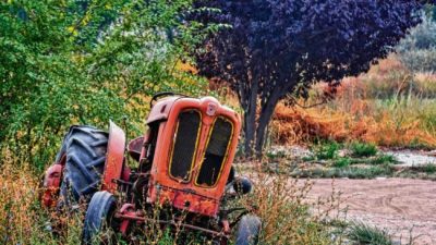 Réquiem por la fruticultura
